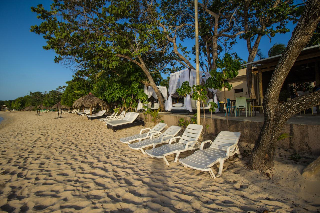 Paradise Island Beach Resort Punta Rucia Extérieur photo